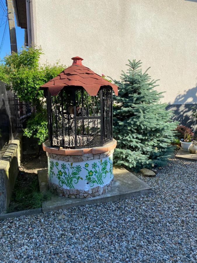 Apartamento Casa Cezara Silvasu de Jos Exterior foto