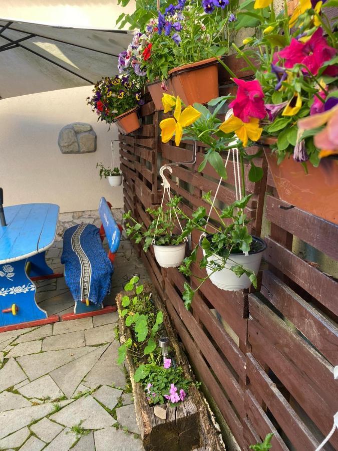 Apartamento Casa Cezara Silvasu de Jos Exterior foto