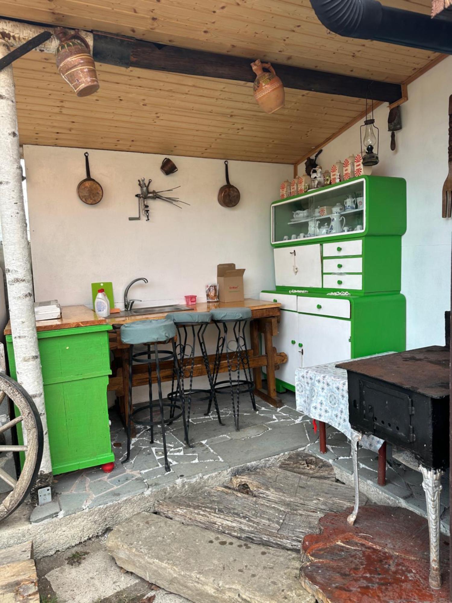 Apartamento Casa Cezara Silvasu de Jos Exterior foto