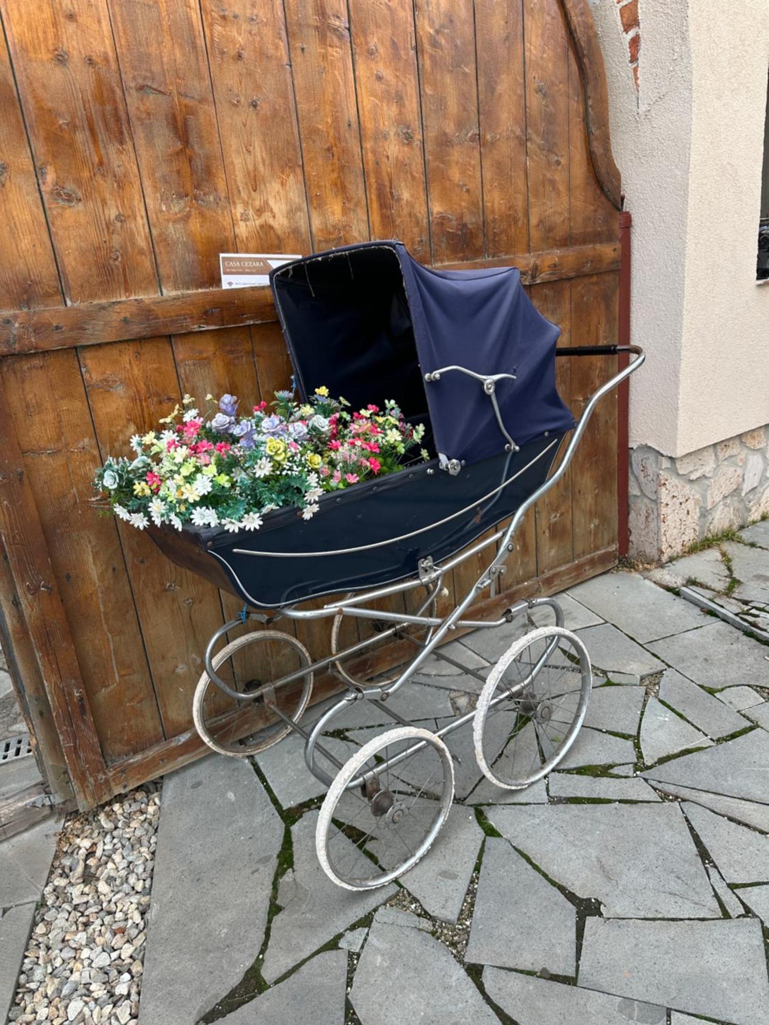 Apartamento Casa Cezara Silvasu de Jos Exterior foto