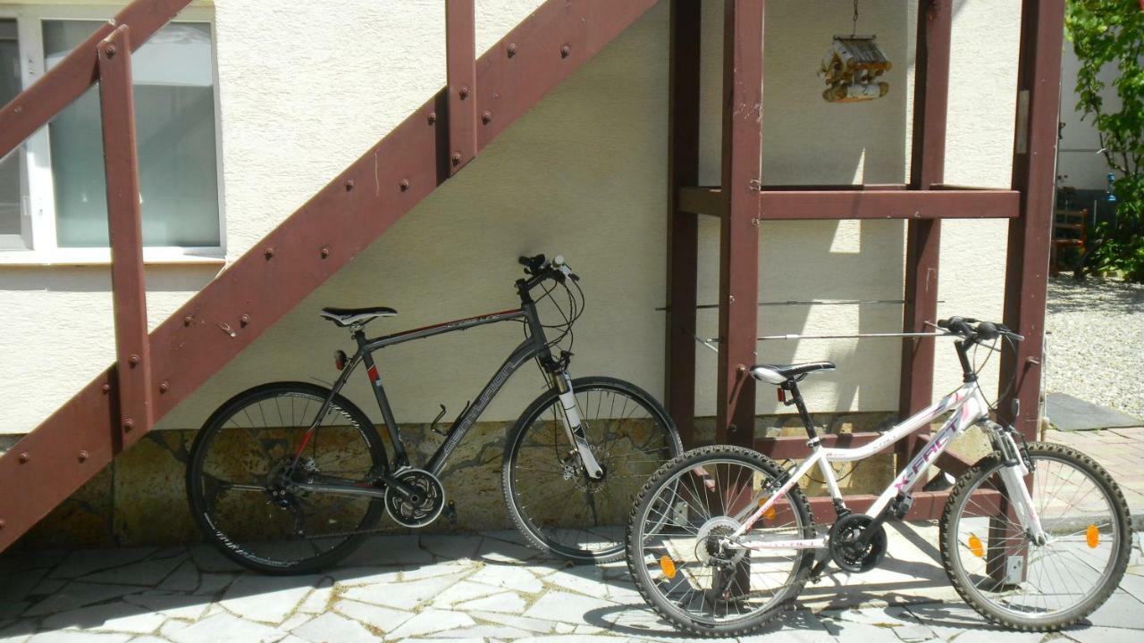 Apartamento Casa Cezara Silvasu de Jos Exterior foto