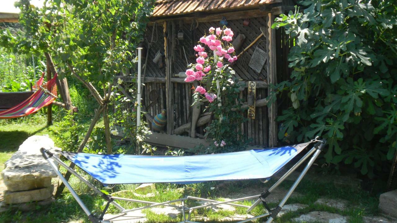 Apartamento Casa Cezara Silvasu de Jos Exterior foto